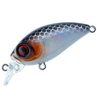 КРЕНК TRIDENT RIOT SR 42F VA009