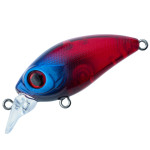 RIOT SR 42F