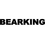 ВОБЛЕРИ BEARKING 