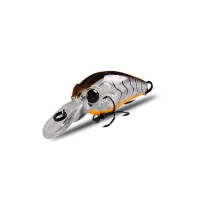 Bearking Baby Crank 35SP-DR колір C